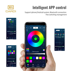 Cardi K3 10in1 Interior Ambient Lighting with App and Remote control (2pcs dashboard, 4pcs door trims, 4pc Foot) - Uniauto